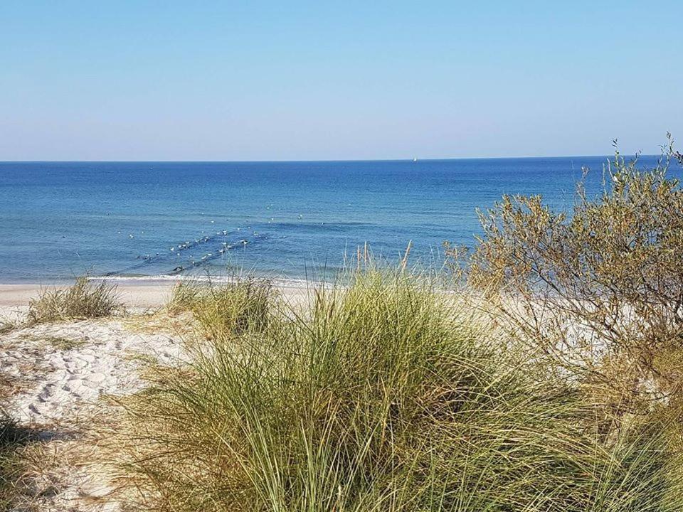 5 Zmyslow Akademia Wypoczynku Pokoje Zieleniewo  Exterior foto